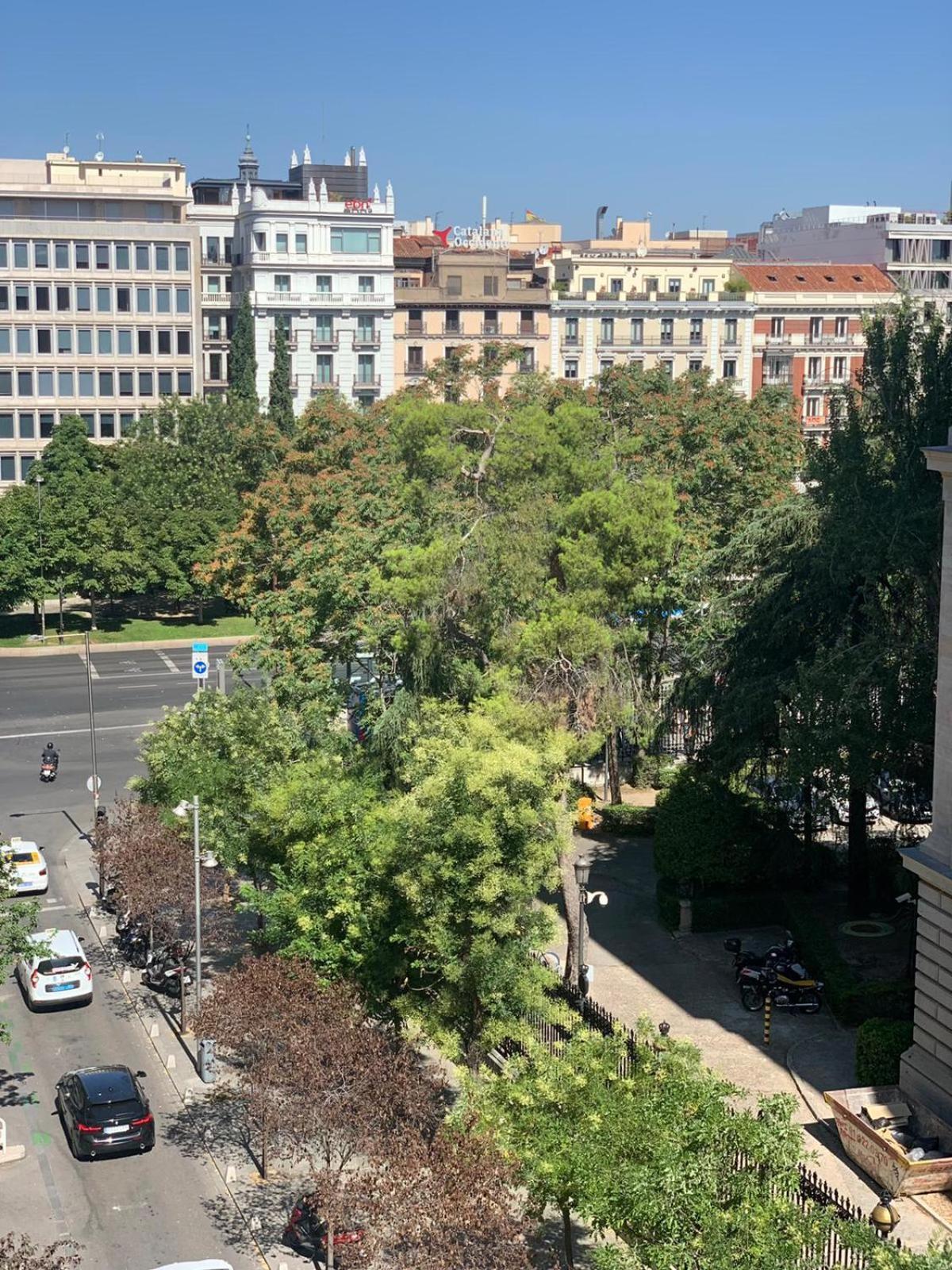 Luxury Studio Retiro Park & Prado Museum Madrid Exteriör bild